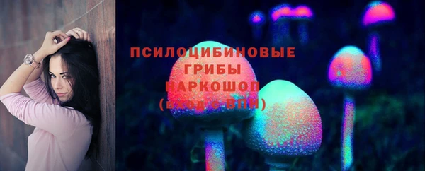 соль ск Аркадак